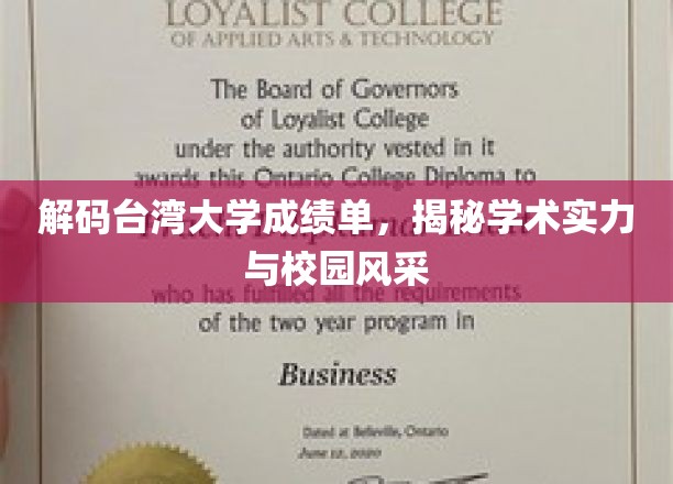 解码台湾大学成绩单，揭秘学术实力与校园风采