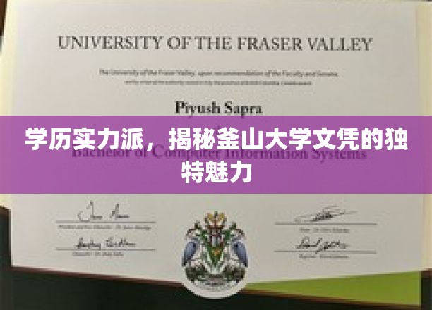釜山大学文凭，实力见证的非凡魅力解析