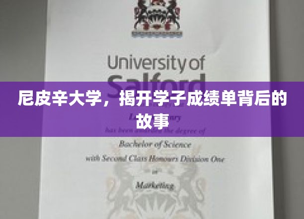 揭开尼皮辛大学学子成绩单背后的励志篇章