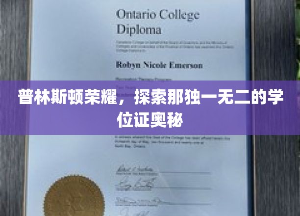 解码普林斯顿，揭秘神秘学位证的荣耀之谜