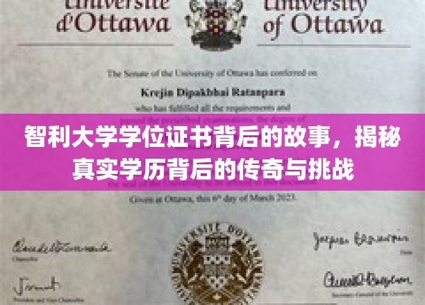 智利大学证书之谜，探寻学历传奇背后的艰辛与辉煌