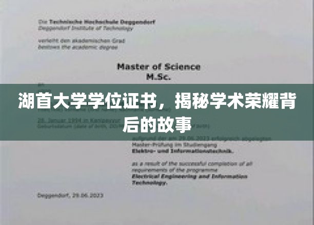 探寻湖首大学学位证书背后的荣耀之路