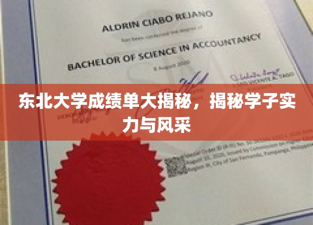 东北学子实力与风采全解析，揭秘东大成绩单背后的精彩故事