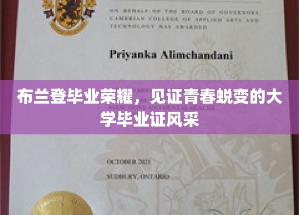 青春荣耀绽放，布兰登毕业典礼，记录蜕变时刻的证照风采