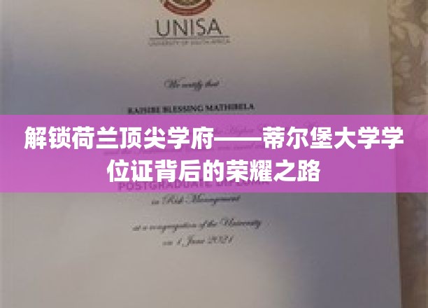 探寻蒂尔堡大学学位证书的璀璨奥秘，成就背后的卓越旅程
