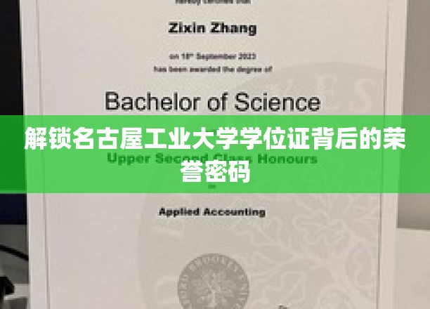 探寻名古屋工业大学学位证背后的荣耀秘籍