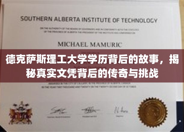 德克萨斯理工大学文凭背后的传奇征程，学历背后的真实挑战与辉煌