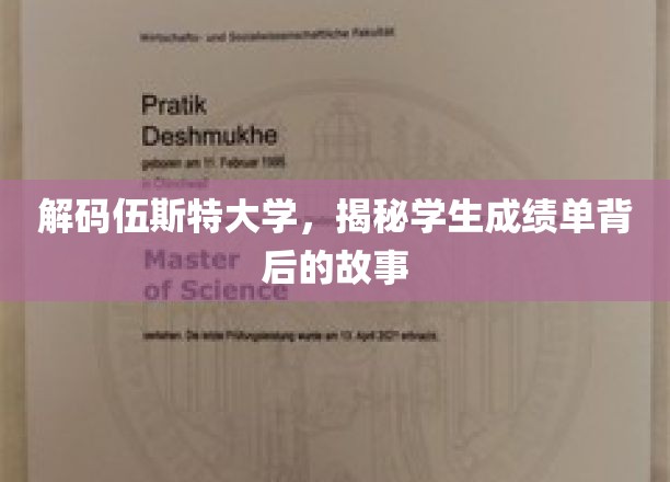 揭开伍斯特大学成绩单背后的秘密世界