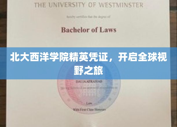 北大西洋学院精英凭证，开启全球视野之旅