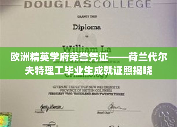 荷兰代尔夫特理工大学荣耀启航，揭秘精英学子们的卓越成就证照