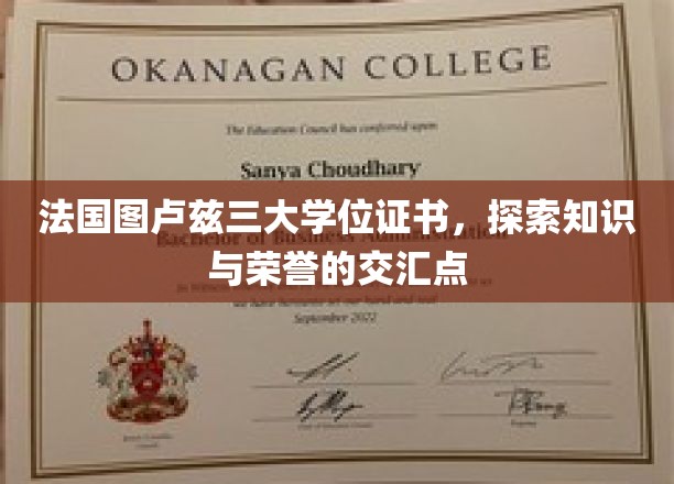 图卢兹三大学位荣耀，探寻知识殿堂的荣誉轨迹