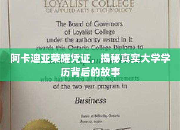 阿卡迪亚荣耀凭证，探索学历背后的传奇故事