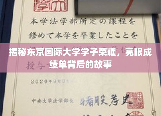 东京国际大学骄子风采，揭秘辉煌成就背后的奋斗历程