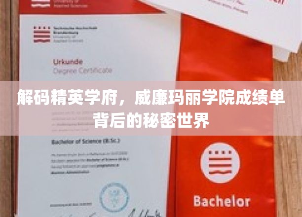 探索精英学府，威廉玛丽学院成绩单背后的神秘世界