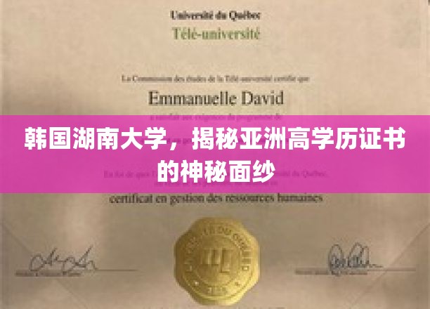 揭开韩国湖南大学，亚洲高学历证书的璀璨之谜