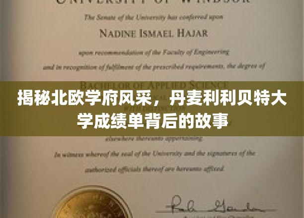 北欧教育之光，探秘丹麦利利贝特大学的卓越成就与传奇故事
