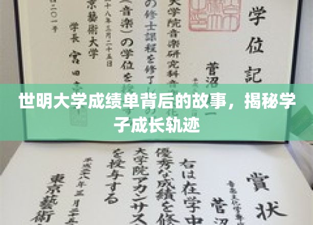 世明大学成绩单背后的故事，揭秘学子成长轨迹