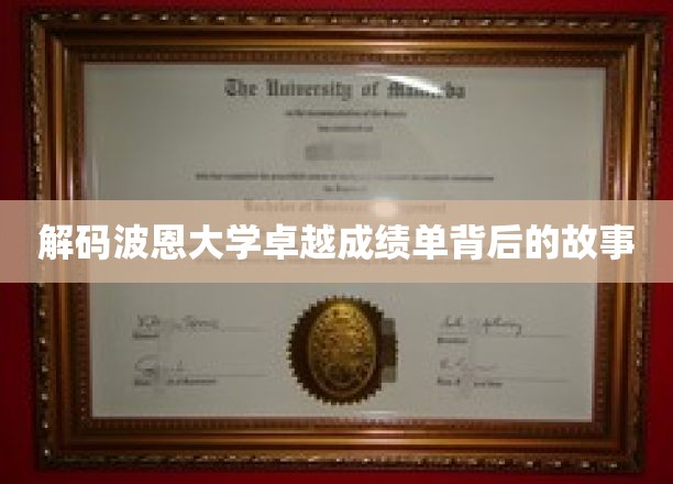 波恩大学传奇成绩揭秘，探寻卓越背后的非凡历程