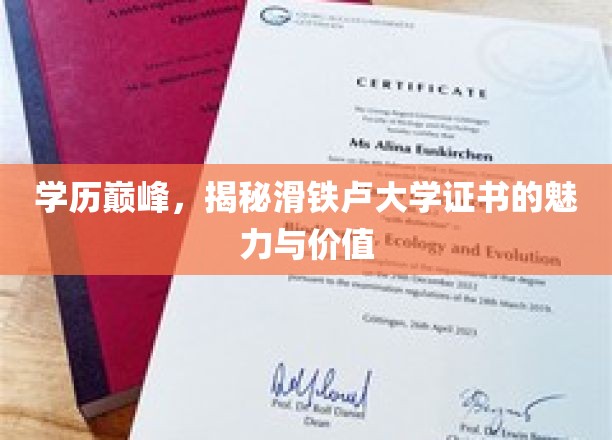 学历巅峰，揭秘滑铁卢大学证书的魅力与价值