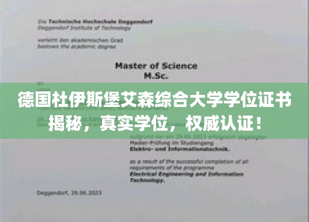 德国杜伊斯堡艾森综合大学学位证书，权威认证，解锁你的国际学术荣耀！