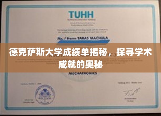 解码德克萨斯大学成绩单，揭开学术辉煌的背后秘密