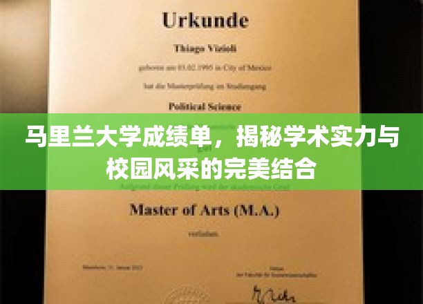马里兰大学，成绩单里的学术魅力与校园风采全景展现
