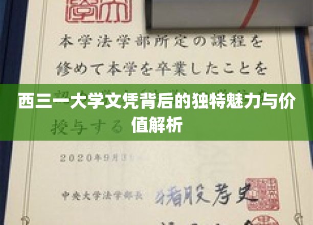 西三一大学文凭，探寻其独特价值与不可复制的吸引力