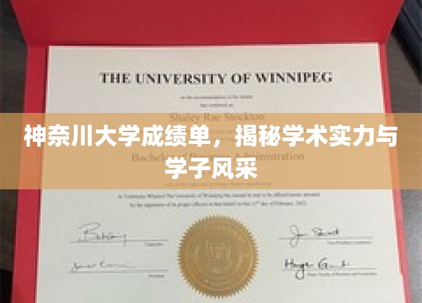 神奈川大学成绩单，一窥学术辉煌与学子风采的秘境
