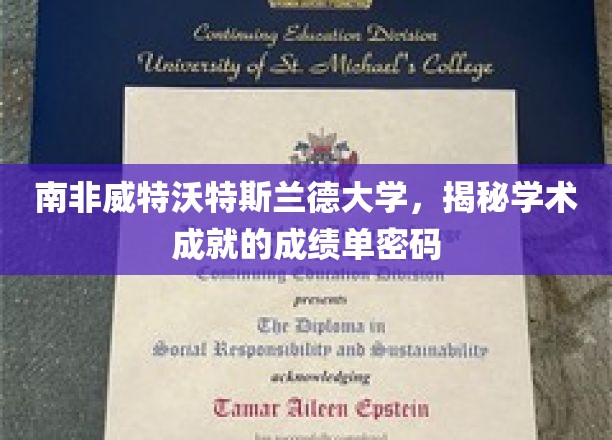 南非威特沃特斯兰德大学，揭秘学术成就的成绩单密码