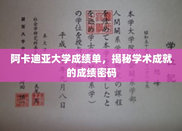 阿卡迪亚大学成绩单，揭秘学术成就的成绩密码