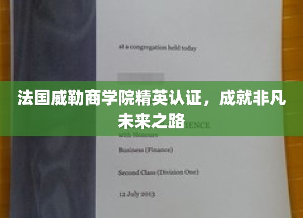 威勒商学院精英加持，开启非凡人生新篇章