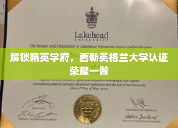 解锁精英学府，西新英格兰大学认证荣耀一瞥