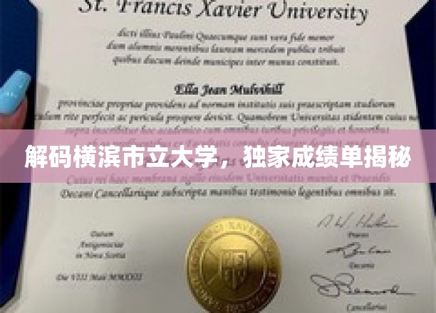 横滨市立大学，揭秘顶尖学府的成绩单背后