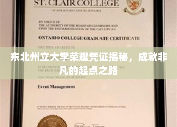 东北州立大学荣耀凭证揭秘，成就非凡的起点之路