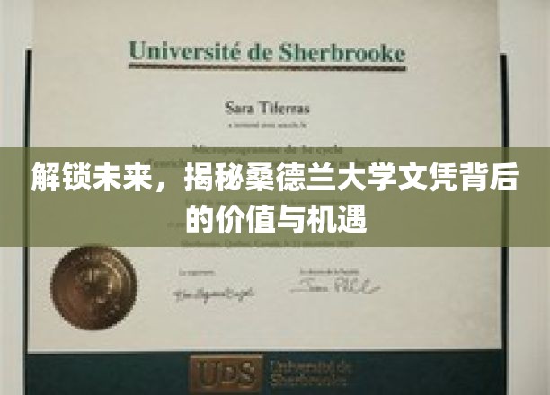 桑德兰大学文凭新视角，探索未来就业的黄金钥匙