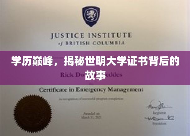 世明大学证书之谜，揭开学历巅峰背后的传奇篇章