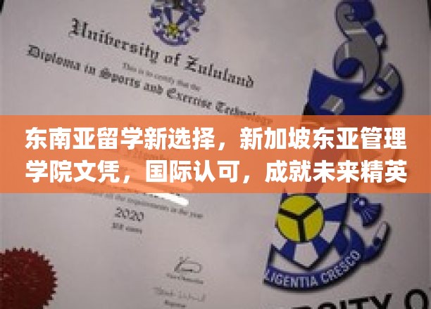 东南亚留学新选择，新加坡东亚管理学院文凭，国际认可，成就未来精英