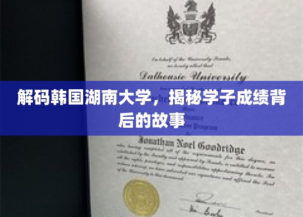 韩国湖南大学学霸养成记，揭秘成绩背后的非凡历程