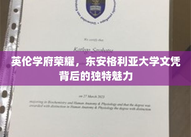 探寻东安格利亚大学荣耀，英伦学府的文凭密码