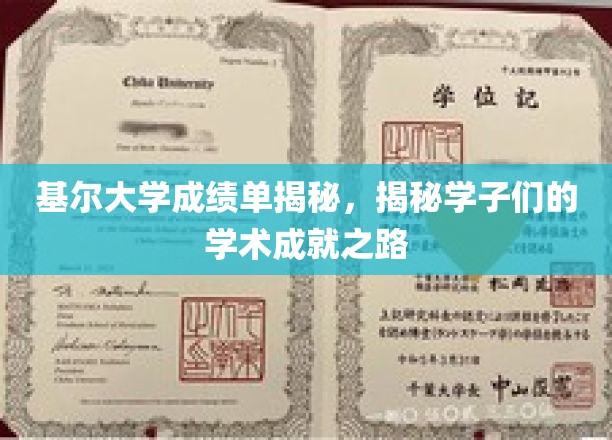 基尔大学学子成绩单背后，解锁他们的学术辉煌轨迹