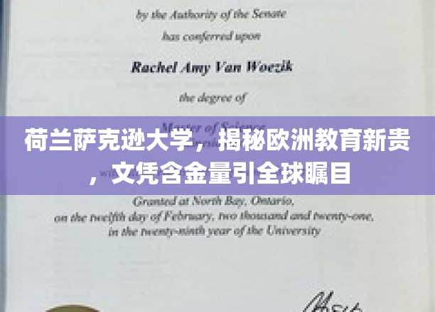 荷兰萨克逊大学崛起，欧洲教育新锐备受全球关注，文凭价值闪耀国际舞台
