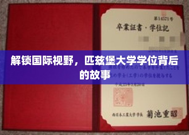 探索匹兹堡大学学位的全球魅力与独特历程