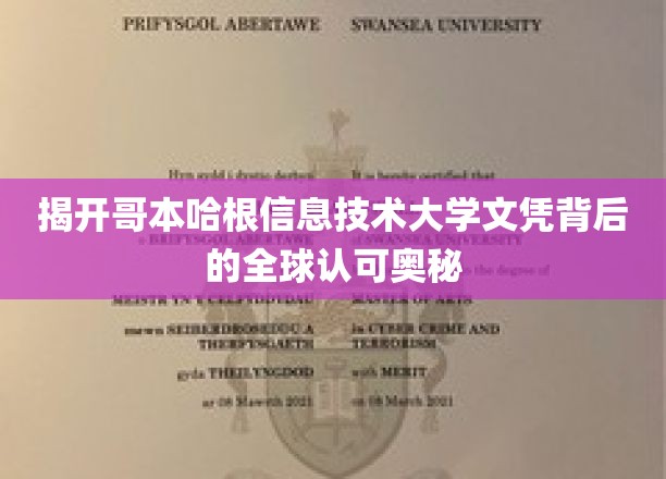 解码哥本哈根信息技术大学文凭的国际通行证之谜
