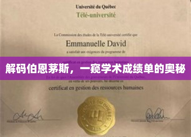 解码伯恩茅斯，一窥学术成绩单的奥秘