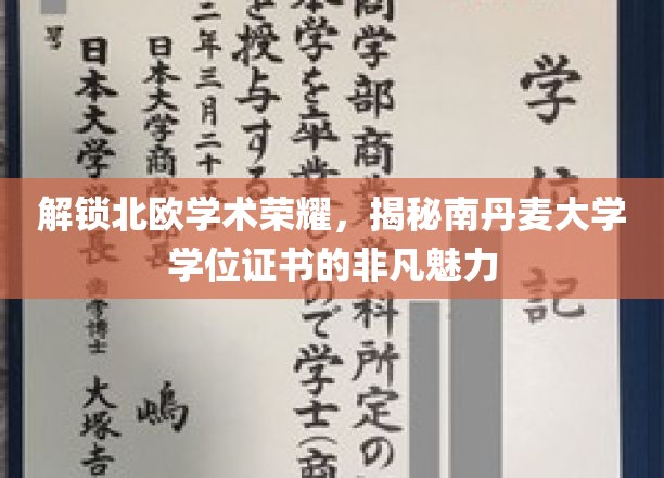 北欧学府之光，南丹麦大学学位证书的独到风采
