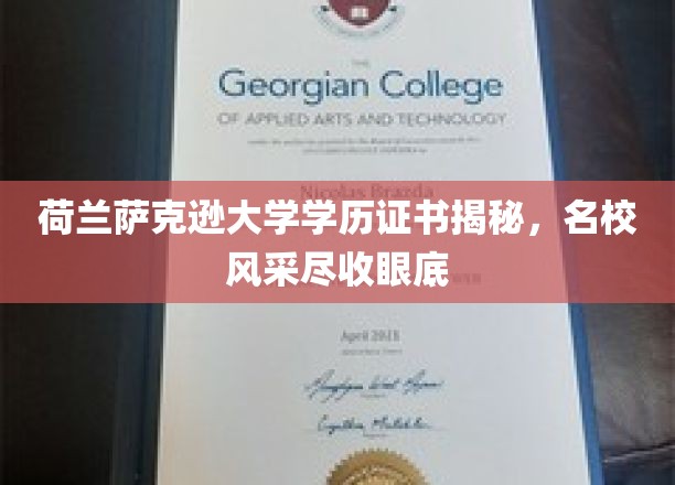 荷兰萨克逊大学文凭背后的名校魅力一探究竟
