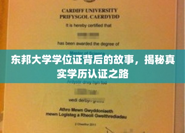 东邦大学学位证背后的故事，探寻真实学历认证之路