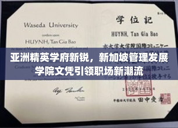 新加坡MBA新贵，管理发展学院证书助你职场飞跃巅峰