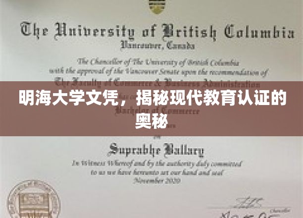 解码现代教育认证，明海大学文凭背后的秘密世界