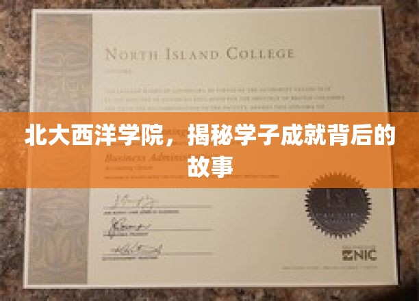 北大西洋学院，揭秘学子成就背后的故事